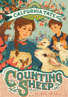 CV02. Counting Sheep