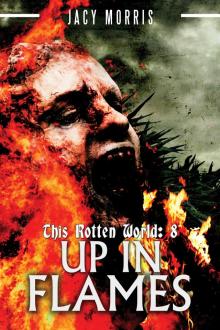 Up In Flames