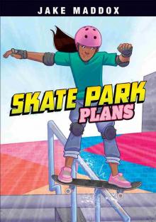 Skate Park Plans