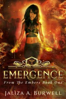 Emergence Emergence