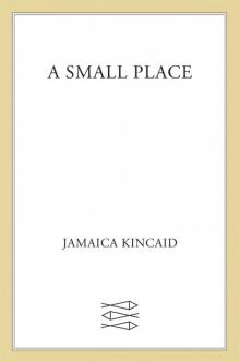 A Small Place