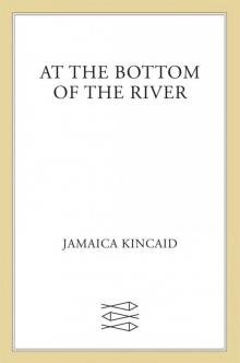 At the Bottom of the River
