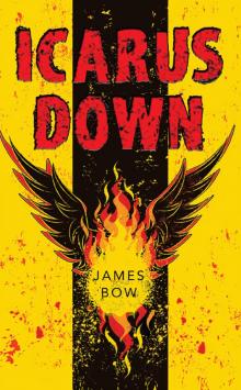 Icarus Down Icarus Down