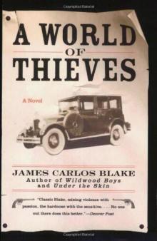 A World of Thieves