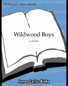 Wildwood Boys Wildwood Boys