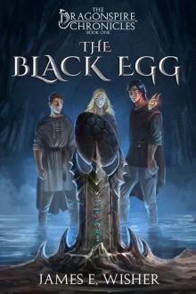 The Black Egg The Black Egg