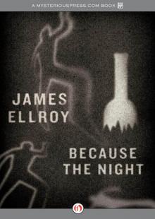 Because the Night Because the Night