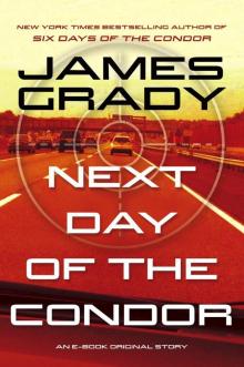 Next Day of the Condor Next Day of the Condor