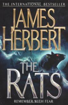 The Rats r-4