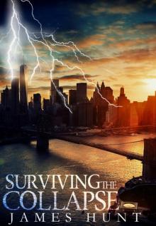 Surviving The Collapse: Book 0