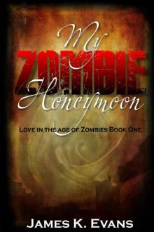Love in the Age of Zombies (Book 1): My Zombie Honeymoon