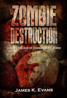 Love in the Age of Zombies (Book 3): Zombie Destruction
