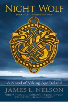 Night Wolf: A Novel of Viking Age Ireland (The Norsemen Saga Book 5)