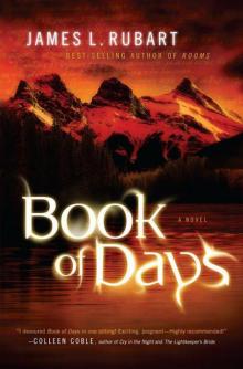Book of Days: A Novel
