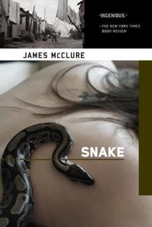 Snake kaz-4