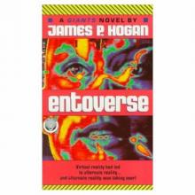 Entoverse g-4