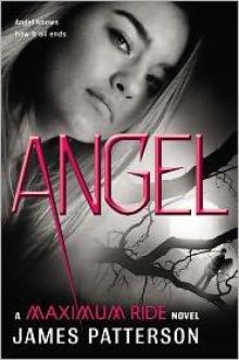Angel: A Maximum Ride Novel mr-7 Angel: A Maximum Ride Novel mr-7