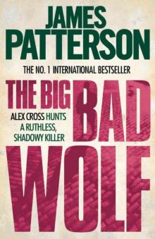 The Big Bad Wolf ак-9