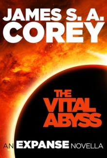 The Vital Abyss: An Expanse Novella (The Expanse) The Vital Abyss: An Expanse Novella (The Expanse)