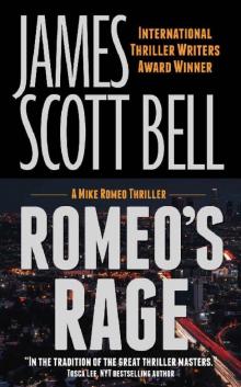Romeo's Rage (Mike Romeo Thrillers Book 7)