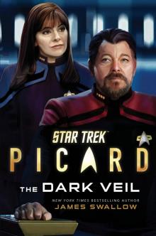 The Dark Veil The Dark Veil