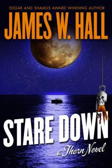 Stare Down: A Thorn Novel Stare Down: A Thorn Novel