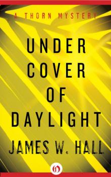 Under Cover of Daylight Under Cover of Daylight