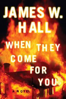 When They Come for You (Harper McDaniel Book 1) When They Come for You (Harper McDaniel Book 1)
