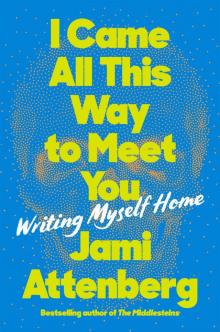 I Came All This Way to Meet You