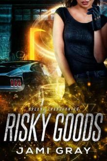 Risky Goods: Arcane Transporter 2 Risky Goods: Arcane Transporter 2