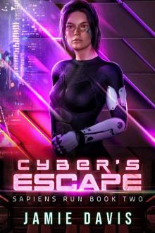 Cyber's Escape Cyber's Escape