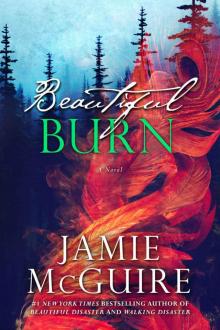 Beautiful Burn (Maddox Brothers #4)