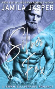 Silver Fox: BWWM Romance Novel