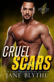 Cruel Scars (Prey Security: Bravo Team Book 4) Cruel Scars (Prey Security: Bravo Team Book 4)