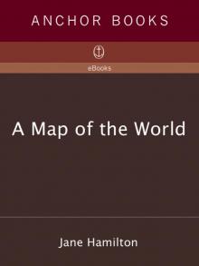 A Map of the World