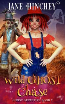 Wild Ghost Chase Wild Ghost Chase