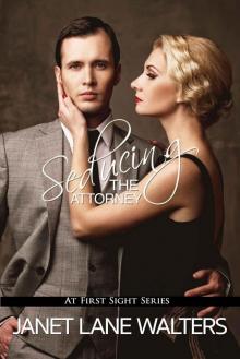 Seducing the Attorney (At First Sight Book 5) Seducing the Attorney (At First Sight Book 5)