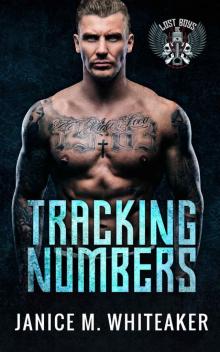 Tracking Numbers: A Bad Boy Protector Romance (Lost Boys Book 1)