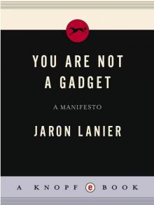 You are not a Gadget: A Manifesto