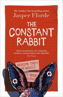 The Constant Rabbit The Constant Rabbit