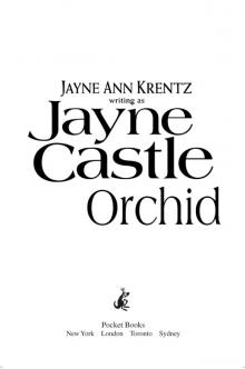 Orchid Orchid