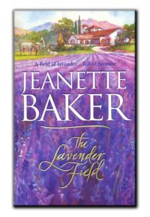 The Lavender Field The Lavender Field