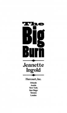 The Big Burn