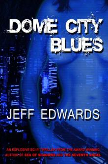 city blues 01 - dome city blues