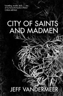 City of Saints and Madmen