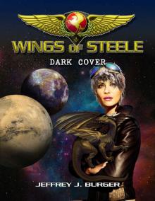 Wings of Steele 4: Dark Cover