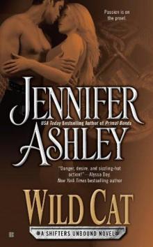 Wild Cat Wild Cat