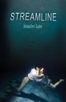 Streamline Streamline