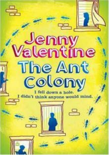 The Ant Colony The Ant Colony