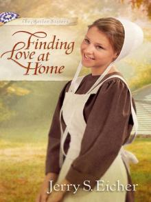 Finding Love at Home (The Beiler Sisters)
